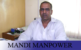 1344427602_Mandi_Manpower_Services_GLOBAL_BUSINESS_CARD.jpg