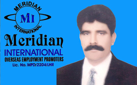 1359702066_Meridian_International_GLOBAL_BUSINESS_CARD.jpg